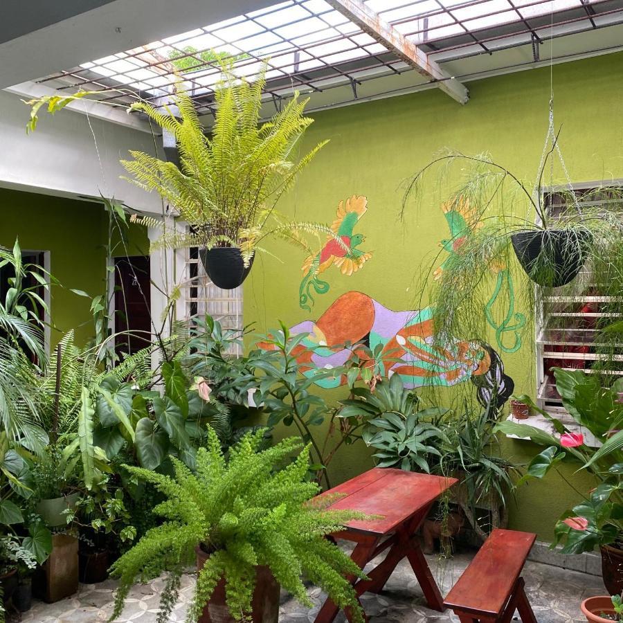 Hostal Cumbres Del Volcan Flor Blanca San Salvador Eksteriør billede